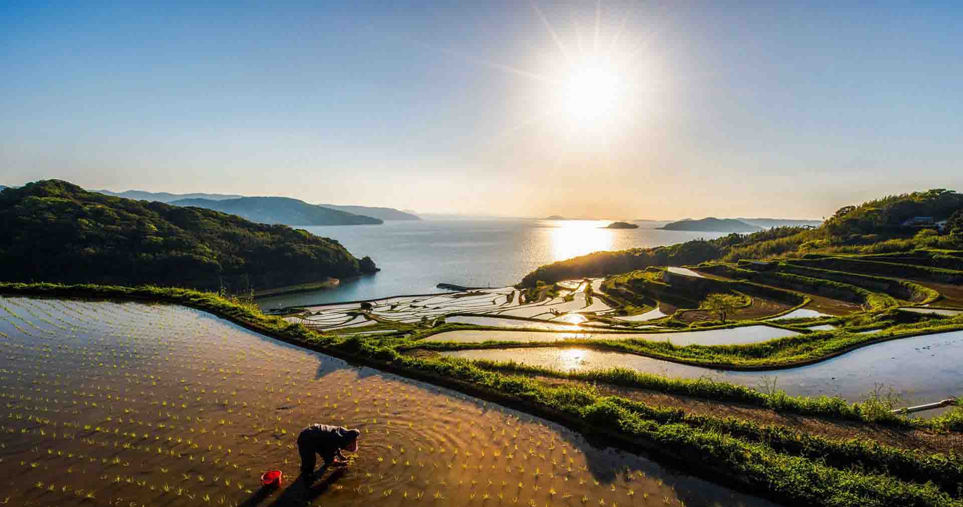 生態環境部張大偉：VOCs治理已成為大氣領域明顯短板，主要治理措施有哪些？